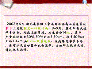 萝卜细菌性黑斑病灾变规律和应急控制技术文档资料.ppt