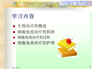 免疫治疗护理石慧慧PPT文档.ppt