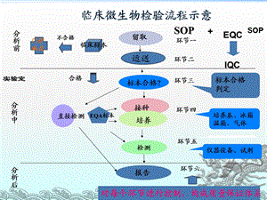 临床微生物学标本的采集文档资料.ppt