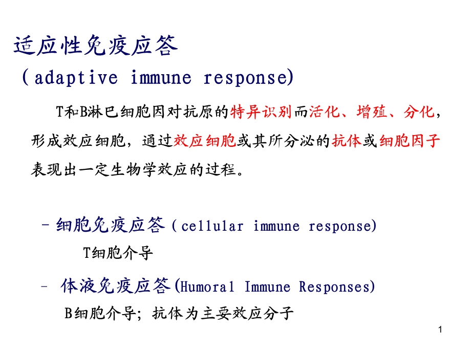 免疫课件细胞免疫应答yinPPT文档.ppt_第1页