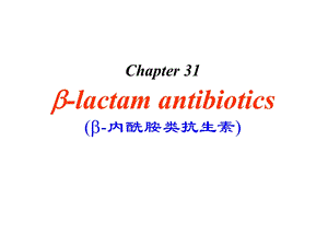 内酰胺类抗生素课件文档资料.ppt