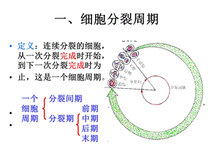 人教版教学课件生物人教版必修一细胞增殖课件PPT文档.ppt