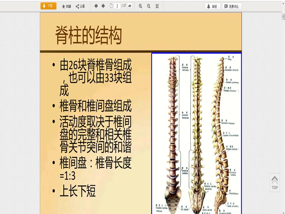 脊柱矫形器概述及头颈部矫形课件文档资料.ppt_第2页