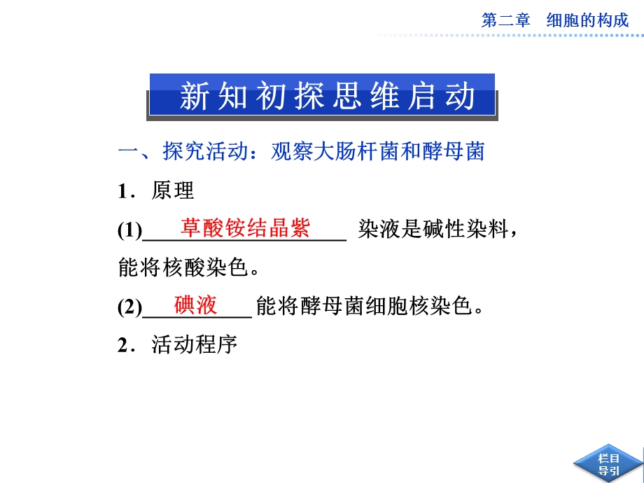 中图版真核细胞与原核细胞用PPT文档.ppt_第2页