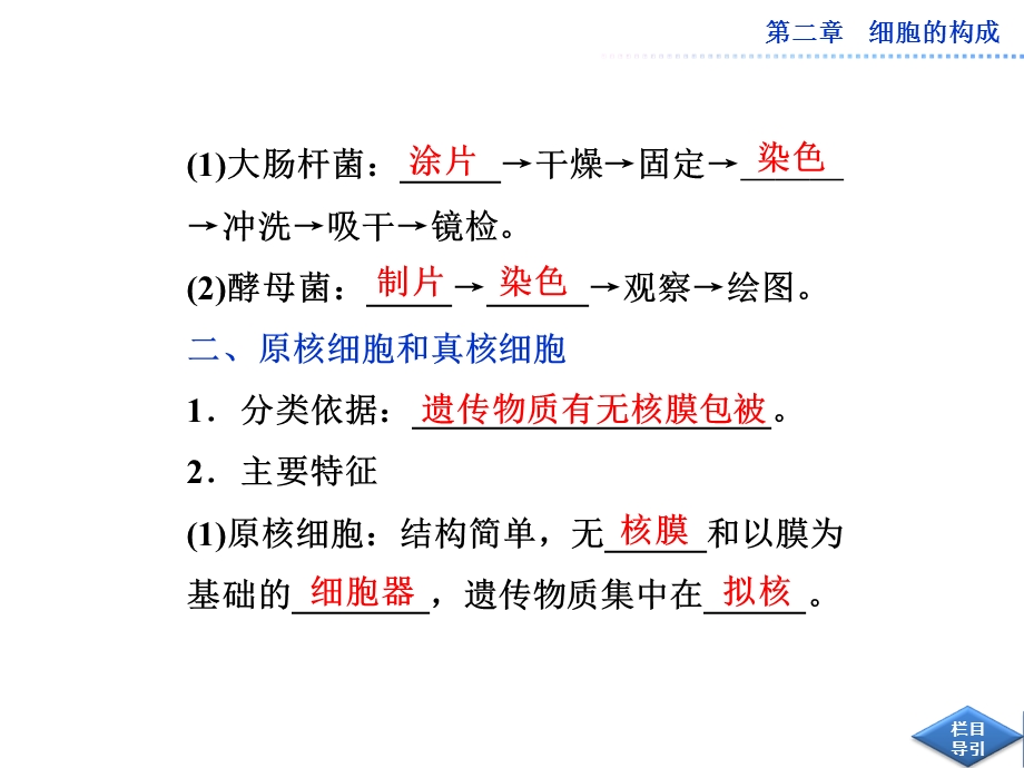 中图版真核细胞与原核细胞用PPT文档.ppt_第3页