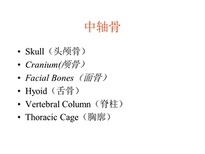 人体骨骼系统PPT文档.ppt