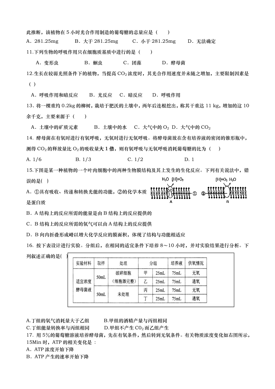 呼吸作用与光合作用专项练习(附答案).doc_第2页