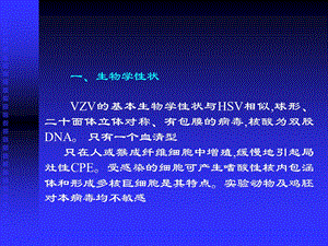 【医药健康】第二节水痘带状疱疹病毒文档资料.ppt