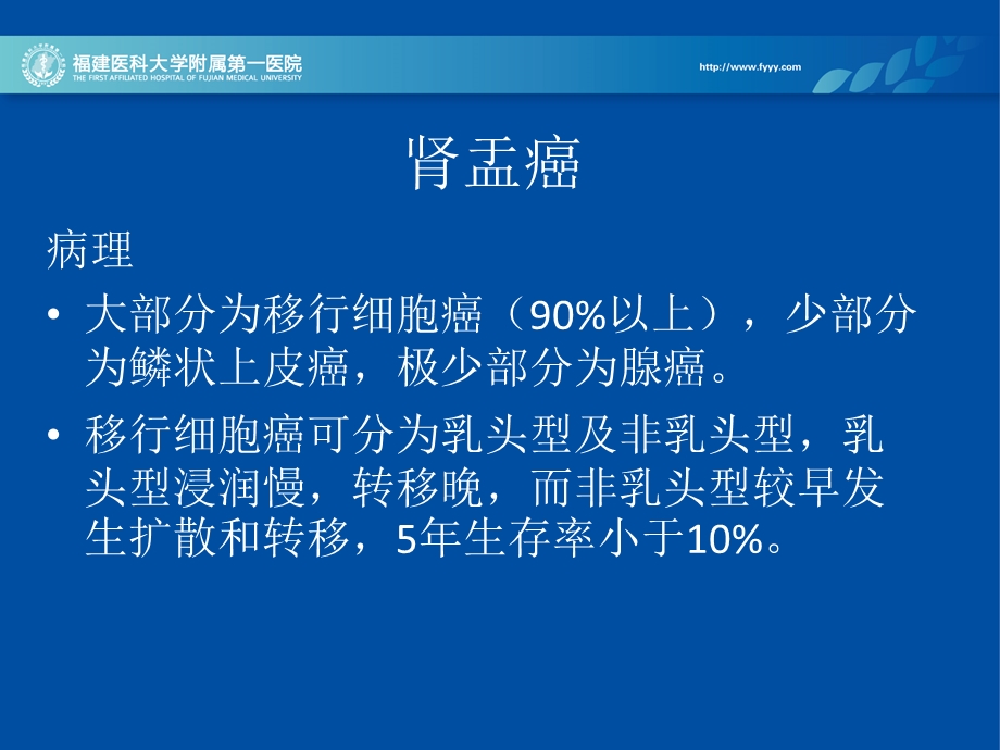 肾盂癌的ct诊断ppt课件文档资料.ppt_第2页