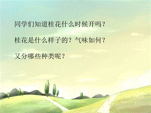 三年级上册音乐课件－第四单元 采山谣 八月桂花遍地开｜苏少版 (共9张PPT).ppt