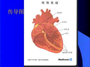 循环系统疾病.心律失常1x文档资料.ppt