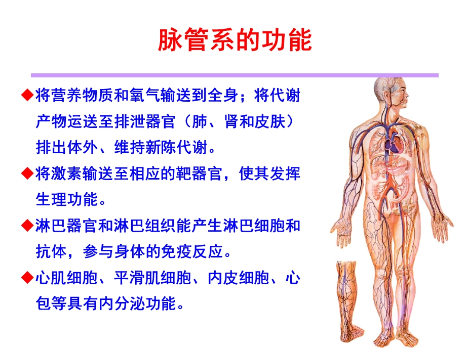 脉管学总论与心脏文档资料.ppt_第2页