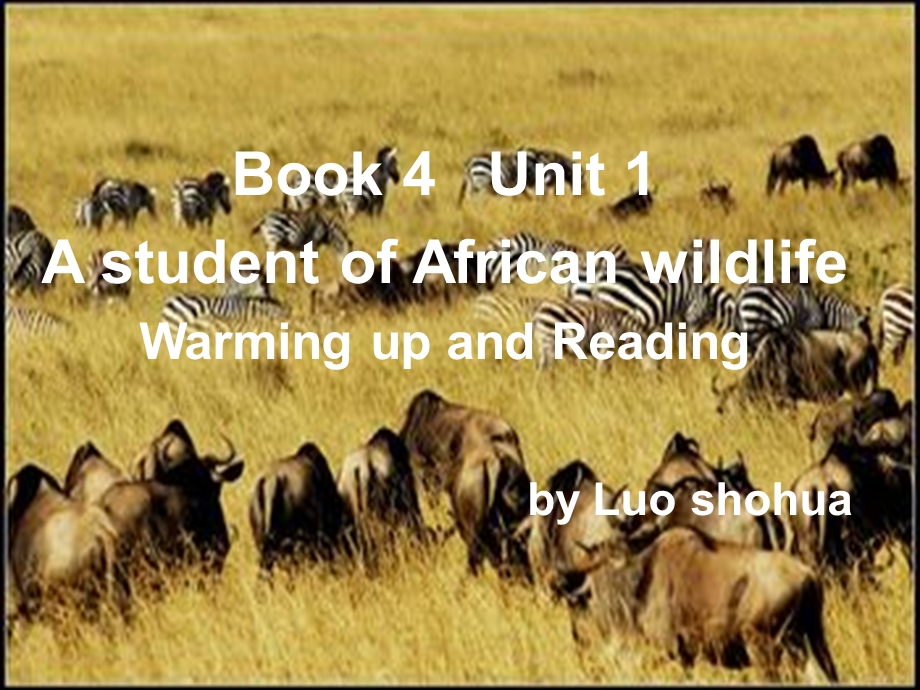 AstudentofAfricanwildlife课件.ppt_第1页