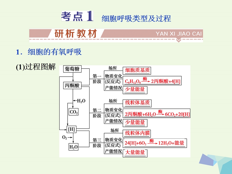 全国高考生物大一轮复习第三单元细胞的能量供应和利用第9讲ATP的主要来源细胞呼吸课件精选文档.ppt_第2页