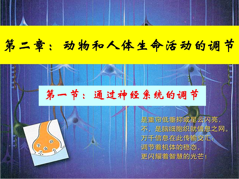 《通过神经系统的调节》教学课件.ppt_第1页