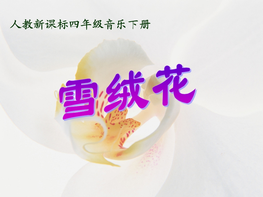 雪绒花PPT课件[精选文档].ppt_第1页