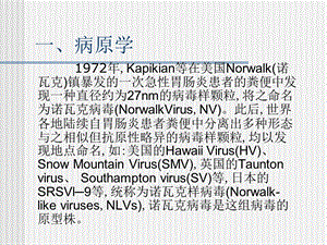 【医药健康】诺瓦克病毒急性胃肠炎文档资料.ppt