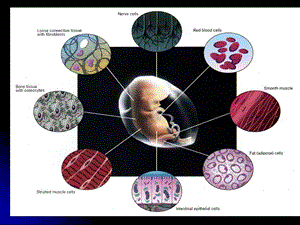 人教版教学课件人教版选修三细胞工程精选文档.ppt