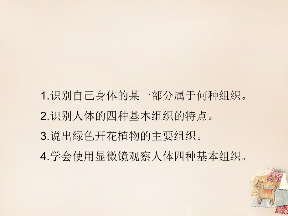 七年级生物上册 4.1 细胞分化形成组织课件2 北师大版文档资料.ppt_第3页