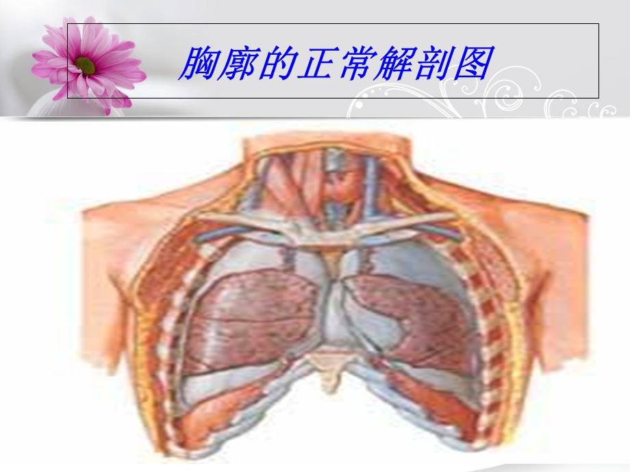 多发伤的护理PPT课件文档资料.ppt_第3页