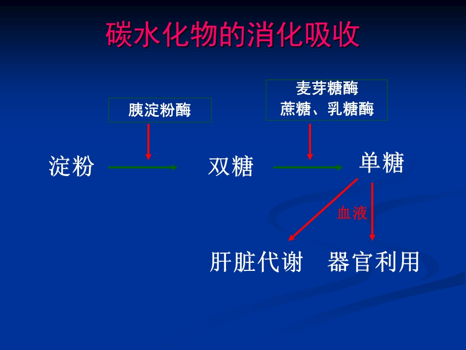 临床营养学矿物质、维生素PPT文档.ppt_第3页