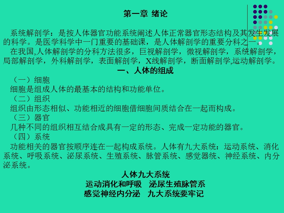 人体解剖学课件全文档资料.ppt_第2页