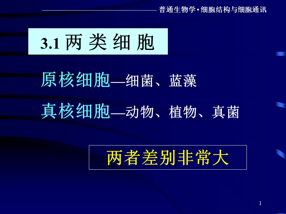 03 细胞的基本形态结构与功能文档资料.ppt_第1页