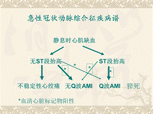 最新acs2急性冠脉综合征精选文档PPT文档.ppt