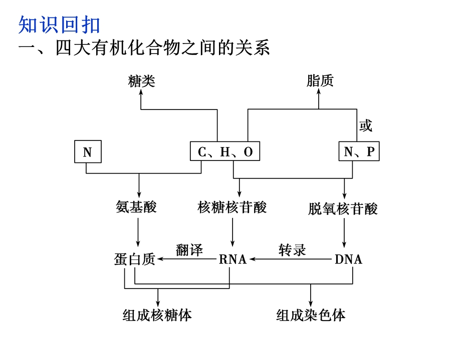 高考生物二回归课本复习课件：细胞的分子组成和基本结构精选文档.ppt_第1页