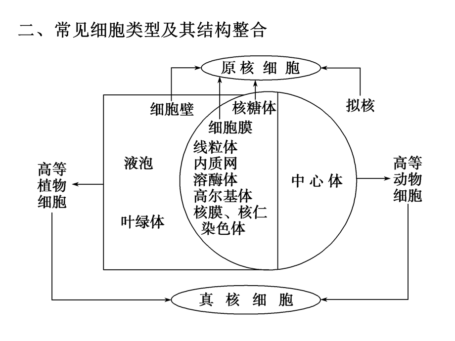 高考生物二回归课本复习课件：细胞的分子组成和基本结构精选文档.ppt_第2页