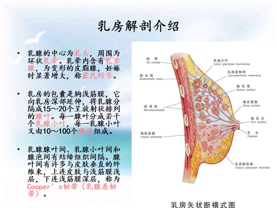 急性乳腺炎护理PPT文档.ppt_第3页