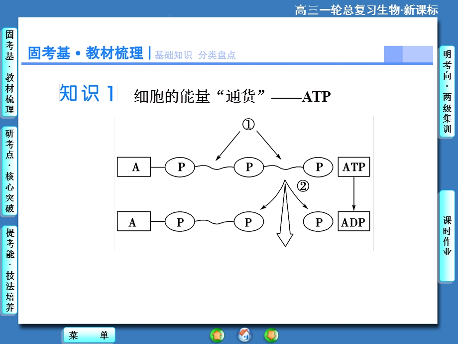 课堂新坐标高考生物大一轮复习配套课件：必修1第3单元第2讲ATP与细胞呼吸文档资料.ppt_第2页