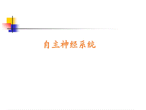 103神经系统PPT文档资料.ppt