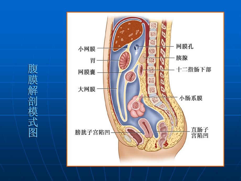 急性化脓性腹膜炎病人的护理1文档资料.ppt_第3页