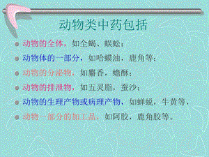 动物类药中药鉴定学云南中医学院PPT文档.ppt