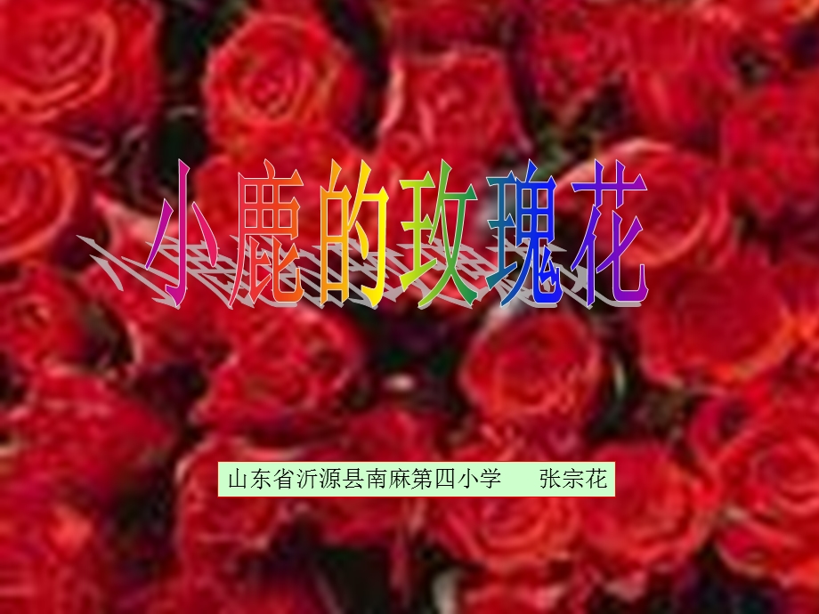 小鹿的玫瑰花课件1.ppt_第1页