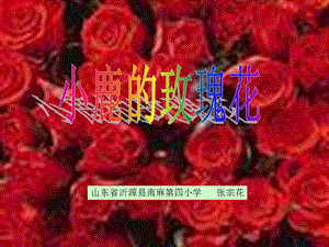 小鹿的玫瑰花课件1.ppt