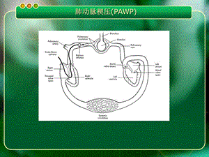 漂浮导管临床应用进展文档资料.ppt