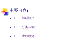 最新：股骨骨折文档资料.pptx