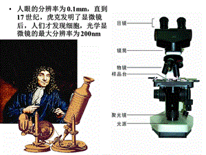 人教版教学课件云南省西盟佤族自治县第一中学高一生物第二章 细胞的基本形态结构与功能课件文档资料.ppt