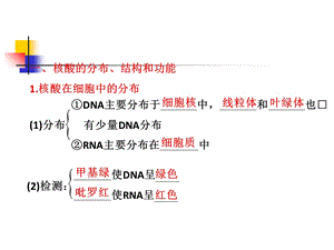 必修一第二章第3、4节遗传信息的携带者——核酸细胞中的糖类和脂质精选文档.ppt