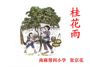 桂花雨课件.ppt