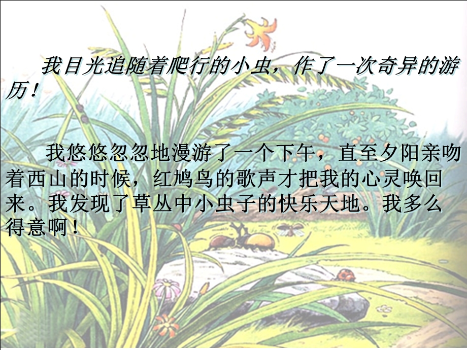 草虫的村落邹和涛.ppt_第2页