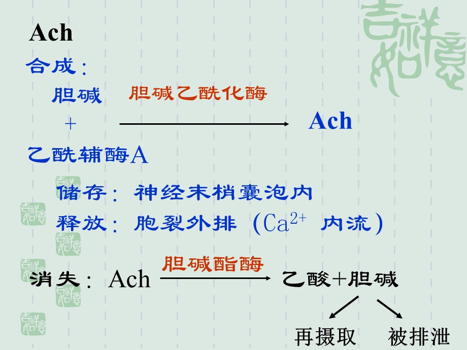 05传出神经系统药理PPT文档资料.ppt_第3页