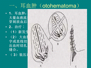 最新006各部外科病精选文档PPT文档.ppt