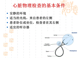 心脏检查新文档资料.ppt