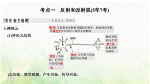 最新高考生物一轮复习第八单元生命活动的调节第24讲神经调节课件文档资料.ppt