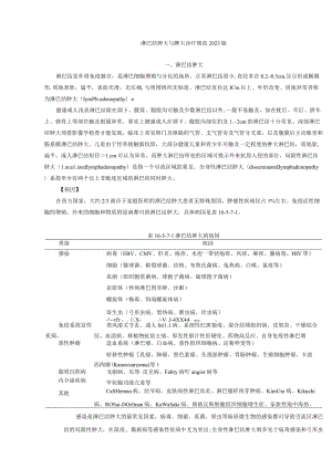 淋巴结肿大与脾大诊疗规范2023版.docx