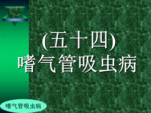 禽病学禽病临床诊断彩色图谱54嗜气管吸虫病西南民族大学名师编辑PPT课件.ppt