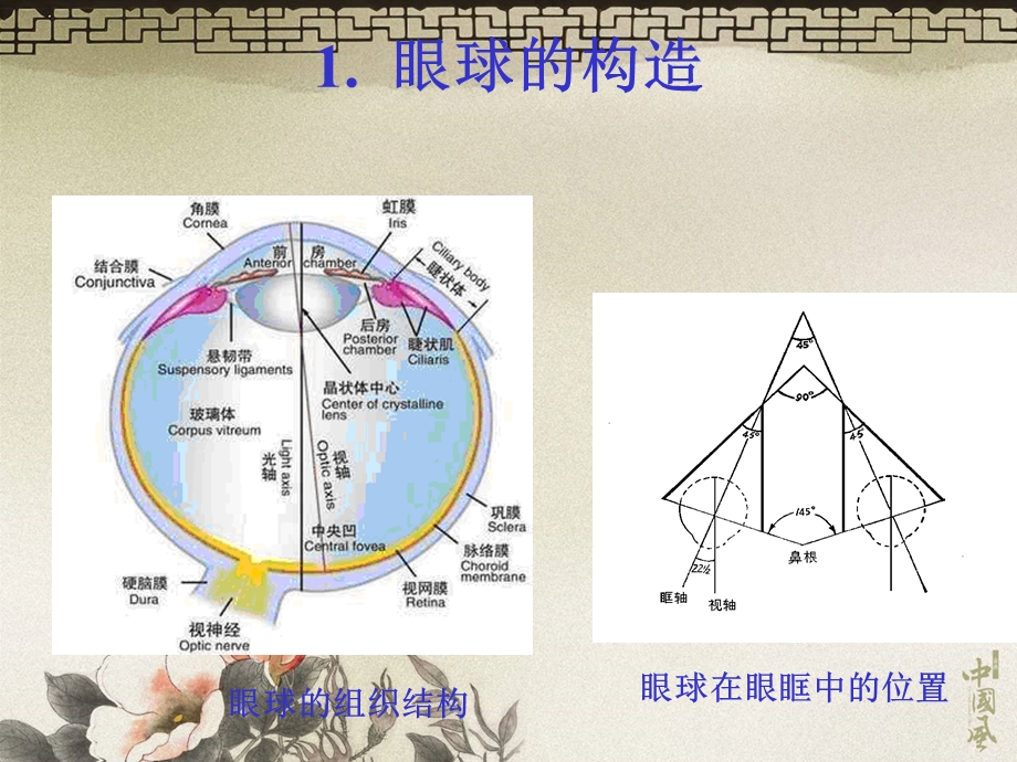 10眼球力学及临床应用研究名师编辑PPT课件.ppt_第3页